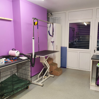Perfect Paws Dog And cat Groomers York.5